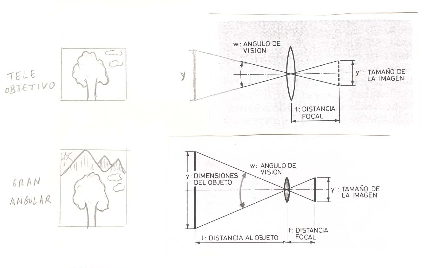 Distancia focal